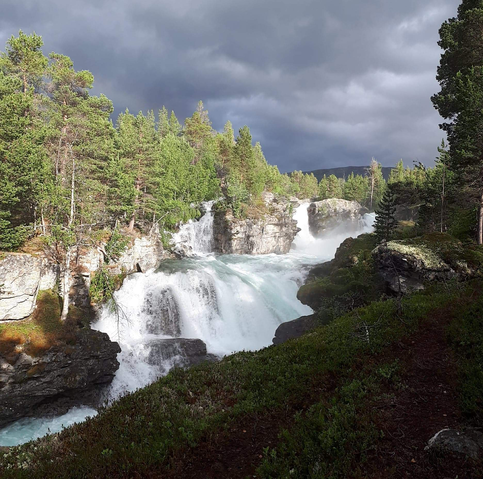 Natureldoradoet Grøndalen