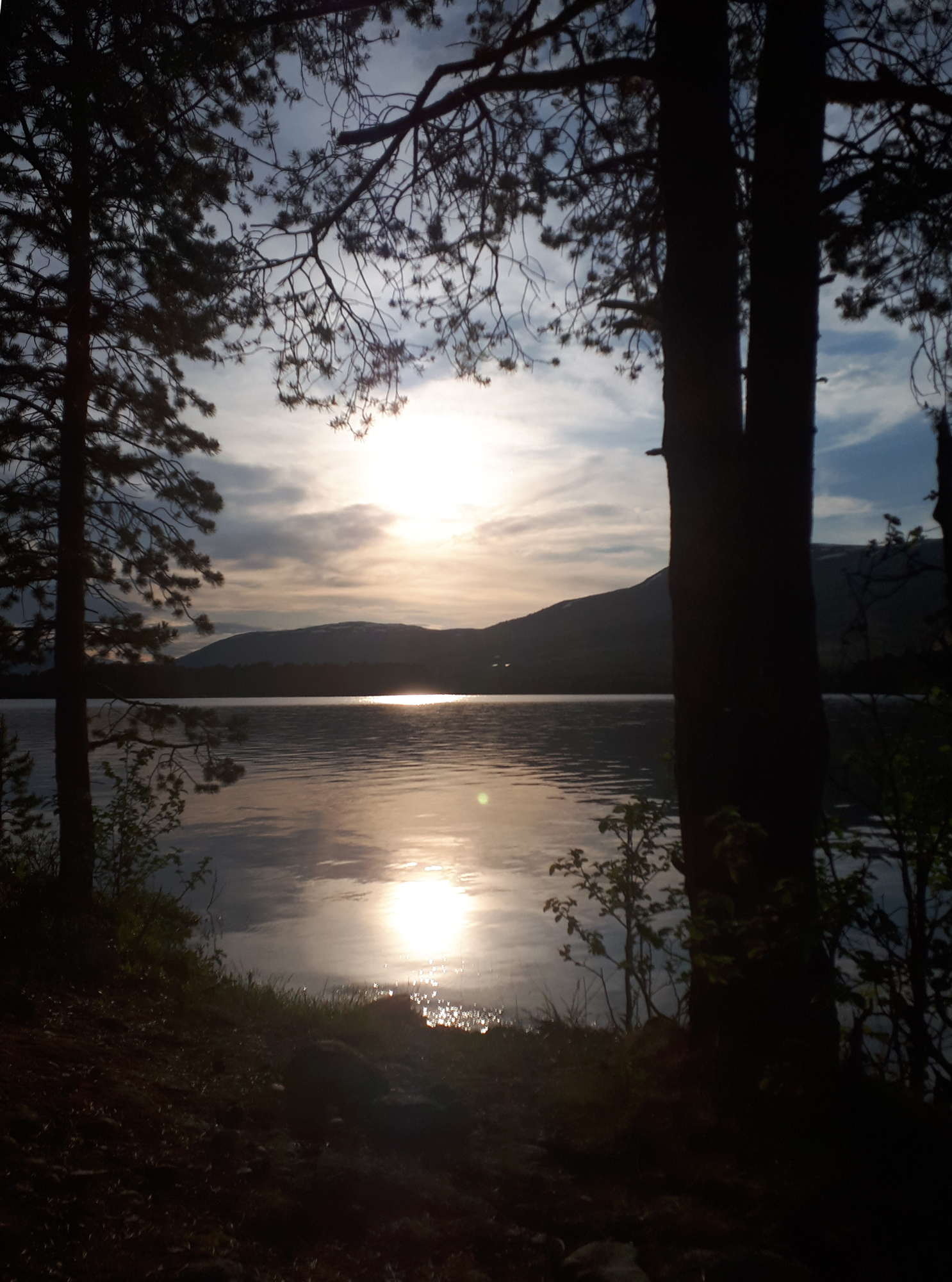 Lesjaskogsvatnet (612 moh)