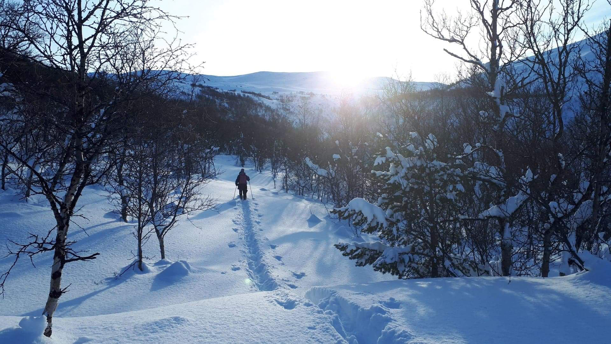 Langrenn og off piste