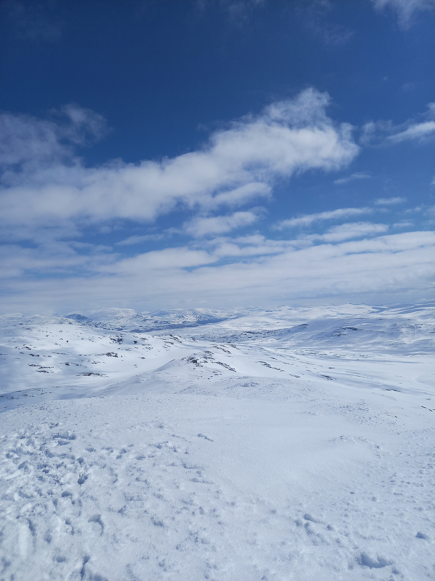 Liahovdane (1296 moh)