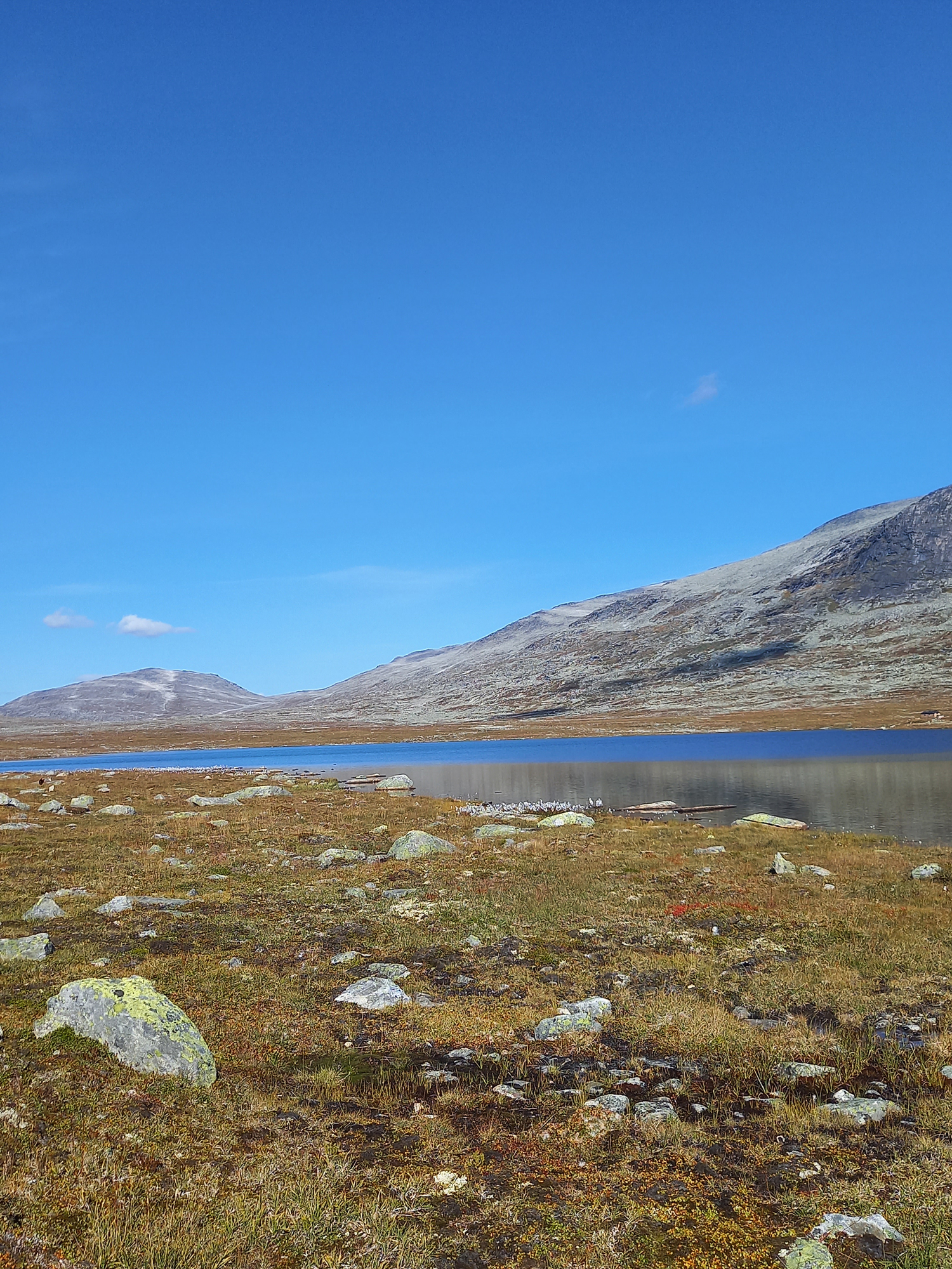 Sommeraktiviteter
